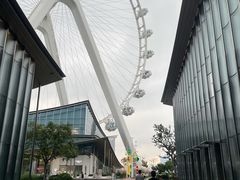 -金鸡湖景区