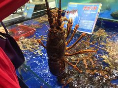 -东江海鲜酒家(艺都分店)