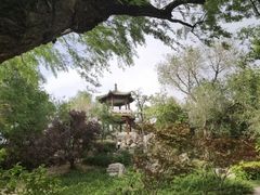 -莲花池公园