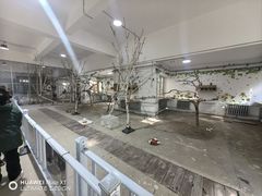 -哈尔滨北方森林动物园