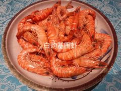-北塘海鲜·天津菜(大光明桥旗舰店)