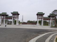 -王借岗森林公园