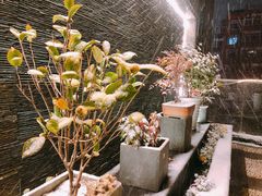 -颂福楼·南京菜(定淮门店)