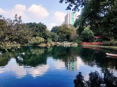 -晓港公园