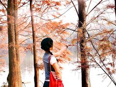 -三水森林公园