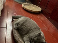 -寶牯佬邵阳米粉