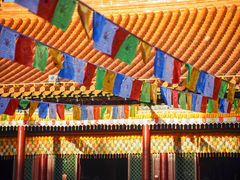 -大召无量寺
