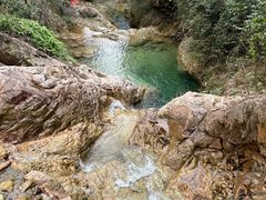 -南海湾森林生态园