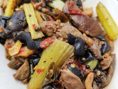 -铁山坪森林公园