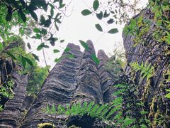 -梭布垭石林景区