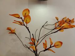 -KAFVS咖啡思咖啡馆(香海路店)
