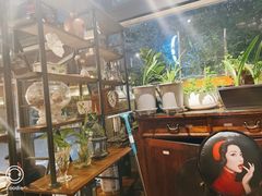 -三猫黑鱼花(南大店)