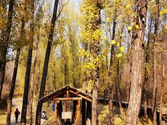 -蟠龙山长城景区