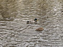 -元大都城垣遗址公园