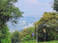 -黄埔油麻山森林公园