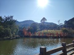 -广州市帽峰山景区