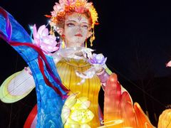 -武汉园博园(武汉自然博物馆)