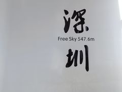 -平安金融中心云际观光层