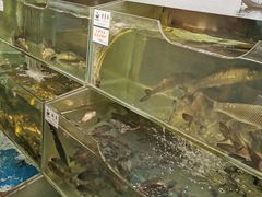 水产区-胖姐渔村(中源大道店)
