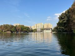 -荔湾湖公园