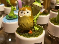 -小樽八音盒堂(手工制作体验馆店)