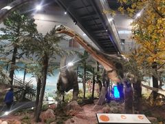 -湖南省地质博物馆