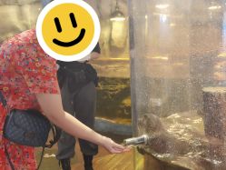 -Zoolung Zoolung动物主题公园(海信广场店)