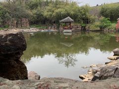 -水绘园