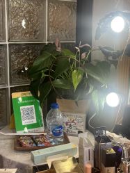 -晓V彩妆造型(大学路店)