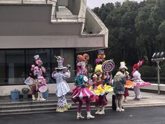 -上海鲜花港