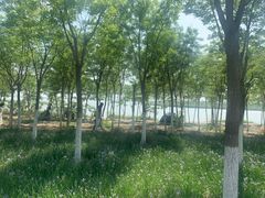 -天津东丽湖风景区