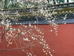 -钱王祠