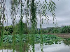 -天赐温泉