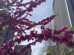 -兴业银行(北京经济技术开发区支行)