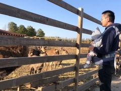 -安德鲁户外烧烤帐篷营地(马泉营店)