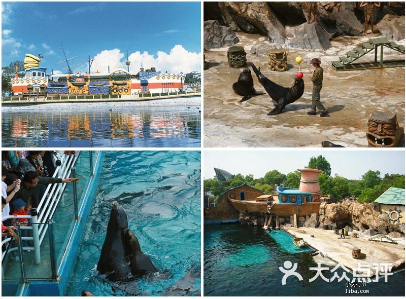 中山區 老虎灘 動植物園 海洋館 大連老虎灘海洋公園 所有點評 13-08