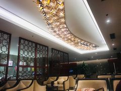 -郑州新郑国际机场T2航站楼-贵宾厅B区