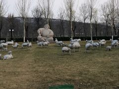 -九十九顶毡房(阜石路店)