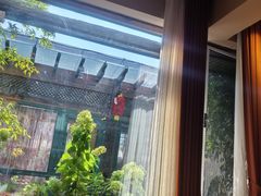 -慢丽江·云南野生菌土鸡锅(付家庄店)