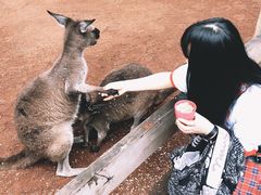 -费瑟代尔野生动物园