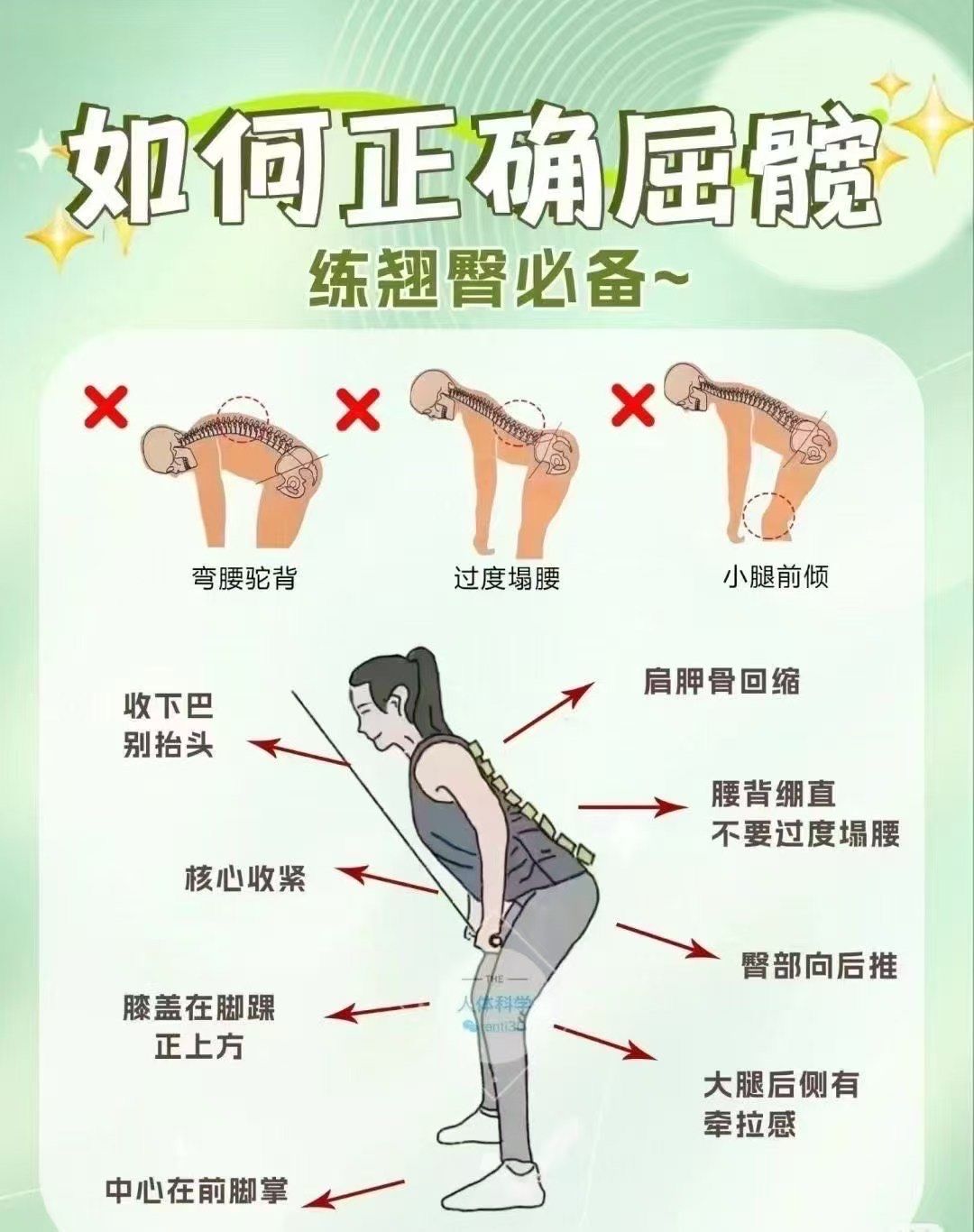 屈髋与膝盖养护秘籍