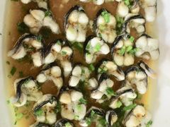 -呼吸森林·生态农庄农家乐私房菜