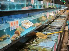 -濠景渔港(汇通店)