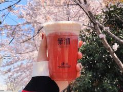 莓莓绿芝士玛奇朵-茉沏(光启城店)