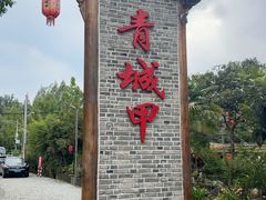 -青城甲(青城山店)