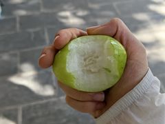 -西双版纳傣族园