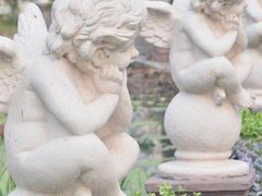 -白塘生态植物园