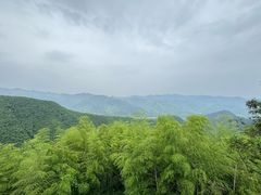 -莫干山风景区