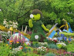 -上海共青森林公园