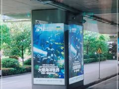 -丽江三义国际机场